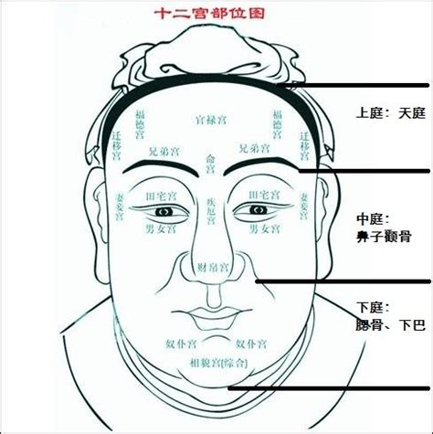 天庭面相|面相学天庭的相法 面相天庭怎么看